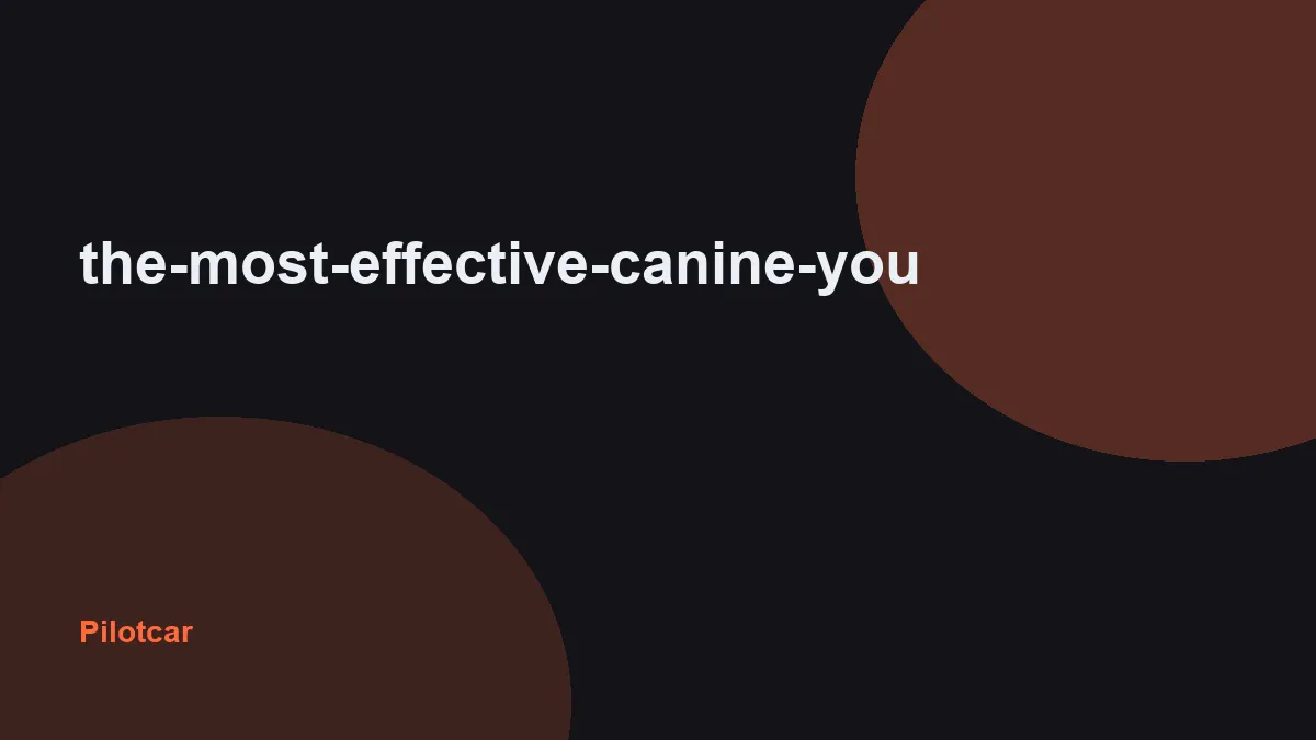 the-most-effective-canine-you — overview visual